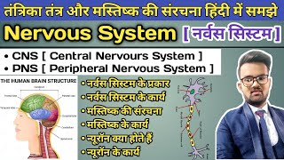 Nervous System in Hindi  CNS Central Nervous System  PNS Peripheral Nervous System  Brain Neuron [upl. by Yliah129]