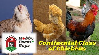 Classes of Chicken The Continental Class [upl. by Huskamp]