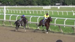 Tonalist breezes August 16 at Saratoga [upl. by Kent947]