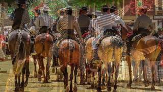 Feria 2018  Jerez de la Frontera Espana Spain [upl. by Winona233]