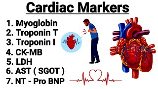 Cardiac Markers  Myoglobin  Troponin  CKMB  NT pro BNP  LDH  AST  in detail [upl. by Akcimahs]