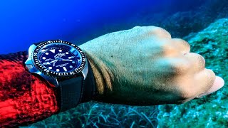 Top 7 Best Diver Watches For Men Buy 2024 [upl. by Ysnil]