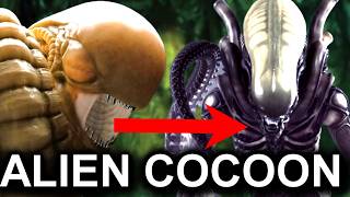 Alien Romulus Xeno Cocoon  New Life Cycle Stage [upl. by Allard]