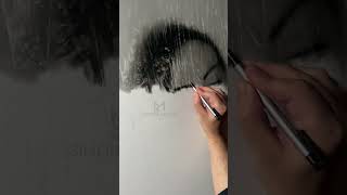 Behind the Veil  HYPERREALISTIC DRAWING PORTRAIT art hyperrealism drawing [upl. by Suolevram]