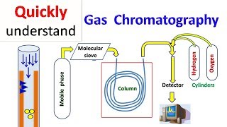 Gas chromatography  GC [upl. by Rosita]