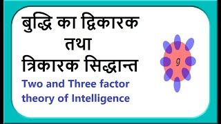 बुद्धि का द्विकारक तथा त्रिकारक सिद्धान्त Two and Three factor Theory of Intelligence [upl. by Nalim]