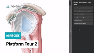 AMBOSS Platform Tour  Part 2 [upl. by Leroy]