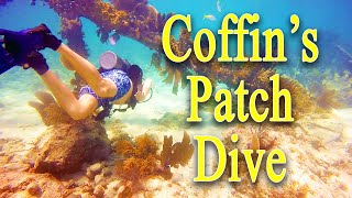 Scuba Diving Coffins Patch Florida Keys [upl. by Oika]