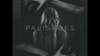 Palisades  Better Chemicals Lyrics [upl. by Nerreg]