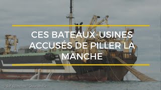 Un chalutier géant accusé d’épuiser les ressources par les pêcheurs français [upl. by Zirkle]