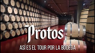 Así es el tour por la Bodega Protos en Ribera del Duero España [upl. by Castora170]