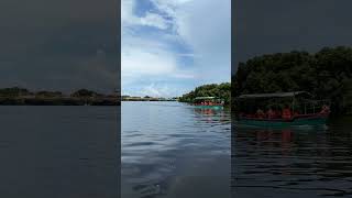 mangrove forest Pondicherry 2 [upl. by Broeder]