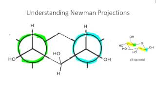 Org Chem Quick reference on cyclohexane newman projections [upl. by Philipson]