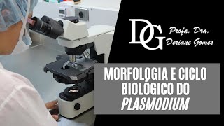 046 Morfologia e Ciclo Biológico do Plasmodium [upl. by Nottirb]