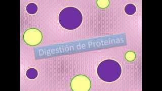 Digestión y absorción [upl. by Annhej]