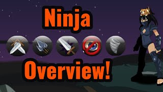 AQW Class Hall A  Ninja Class Rework [upl. by Ahtiek307]