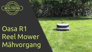 handsOn Oasa R1 Reel Robotic Mower Mähvorgang  deutsch [upl. by Sherurd937]