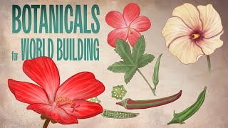 How I plan to use botanical drawings for worldbuilding inspiration Drawing Okra and Flowers [upl. by Tawney374]