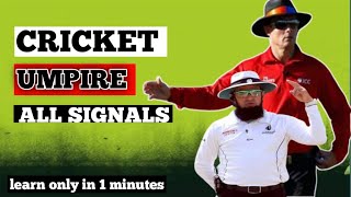 Cricket umpire signals  umpire signals in cricket  cricket  cricket science [upl. by Land]