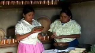 Traditional Mexican cuisine  ancestral ongoing community culture the Michoacán paradigm [upl. by Fadiman]