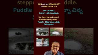 WET and DREANCH  Rain Related Vocabulary  Advanced weather vocabulary  talking about rain [upl. by Solenne]