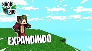 Noob ao Pro EP14 Aumentando a nossa ILHA  Skyblock Redesky [upl. by Nira]