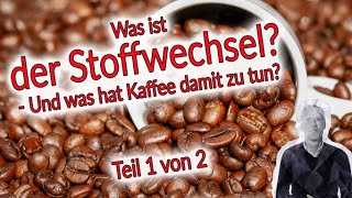 Der Stoffwechsel im Fokus  Teil 1  Wirkung von Kaffee auf den Stoffwechsel [upl. by Coshow319]