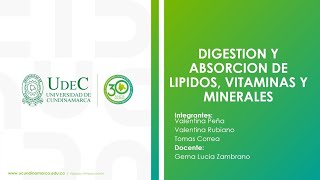 DIGESTIÓN Y ABSORCIÓN DE LÍPIDOS VITAMINAS Y MINERALES EN BOVINOS [upl. by Cheney]