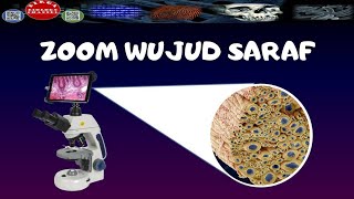 ZOOM SEL SARAF DENGAN MIKROSKOP ELEKTRONNERVE UNDER MICROSCOPE  DIRGA BIOLOGY CHANNEL [upl. by Essyle22]