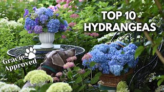 THE BEST HYDRANGEAS FOR YOUR GARDEN 😍 [upl. by Intisar]