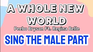 A WHOLE NEW WORLD KARAOKE FEMALE PART ONLY Peebo Bryson [upl. by Aifas]