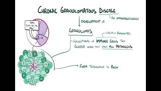 Chronic granulomatous diseases شرح بالعربي [upl. by Tawsha]