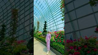 Gardens by the Bay  Singapore Travel Vlog [upl. by Annahsor]