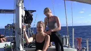 Scuba Diving The Great Barrier Reef Sailing SV Delos Ep 18 [upl. by Hauser]