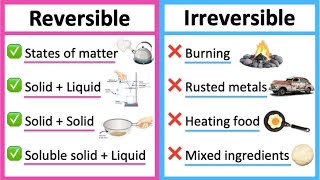 Reversible vs irreversible changes 🤔  Whats the difference  Learn with examples [upl. by Freberg455]