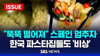 quot뚝뚝 떨어져quot 스페인 멈추자…한국 파스타집들도 비상 이슈라이브  SBS [upl. by Aciretnahs]