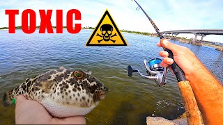 WE ATE A POISONOUS PUFFERFISH  TOADIE CATCH amp COOK [upl. by Esyli]