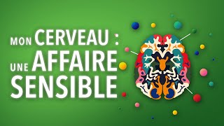 Teaser Semaine du Cerveau 2024  26e édition [upl. by Atnohs122]