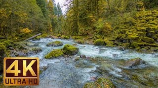 Beautiful Nature Video in 4K Ultra HD  Autumn River Sounds  5 Hours Long [upl. by Retlaw]