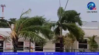 Strong winds in Barbados during Hurricane Beryl [upl. by Rabbaj]