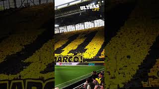 BVBFans verabschieden Reus mit Choreografie gegen SV Darmstadt 98  Bundesliga 1852024 [upl. by Kata]