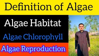 Define Algae  Thallus Structure  Reproduction Of Algae [upl. by Japheth]