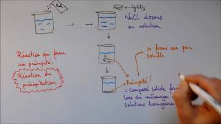 Réactions de précipitation 1  Solubilité [upl. by Pierro]