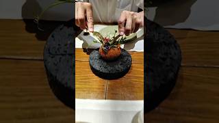 MICHELIN 2024 Thai Fine Dining [upl. by Ennasus]