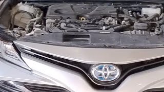 Toyota Camry Hybrid oil change [upl. by Esylla55]