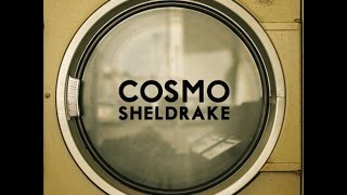 Cosmo Sheldrake  Solar [upl. by Boniface]