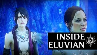 Dragon Age Inquisition  Inside Morrigan’s Eluvian [upl. by Auohp]