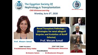 Renal Transplant Pathology1 Biopsies Strategies and Evolution of Banff Schema Prof Wesam Ismail [upl. by Haliehs307]