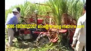 Mini Sugarcane Harvester [upl. by Samara580]