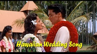 ELVIS PRESLEY  Hawaiian Wedding Song  New Edit  4K [upl. by Wagstaff]